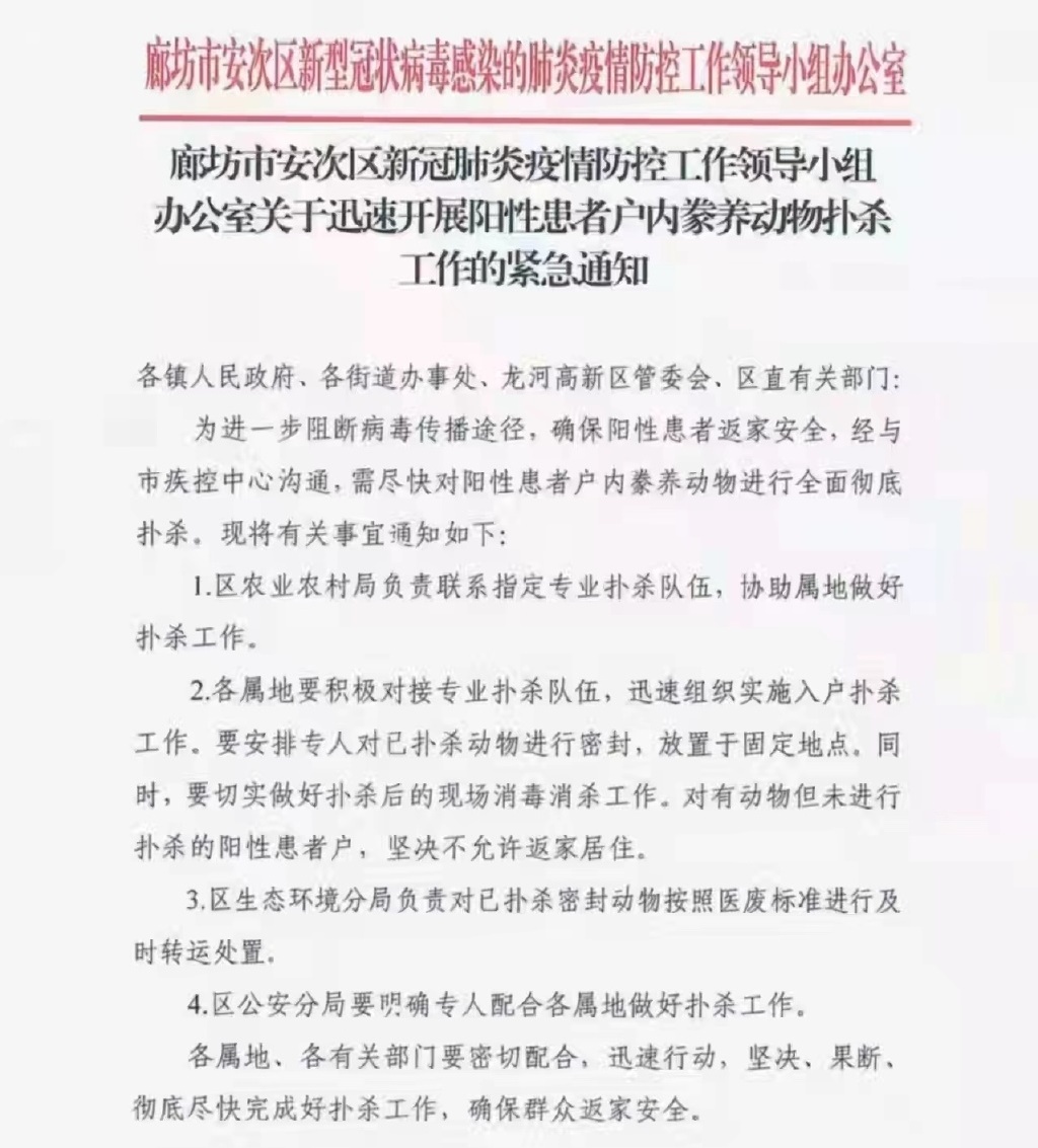 中國河北廊坊市安次區27日下令確診者撲殺寵物才能返家，引起民怨後30日收回命令。（翻攝自微博）