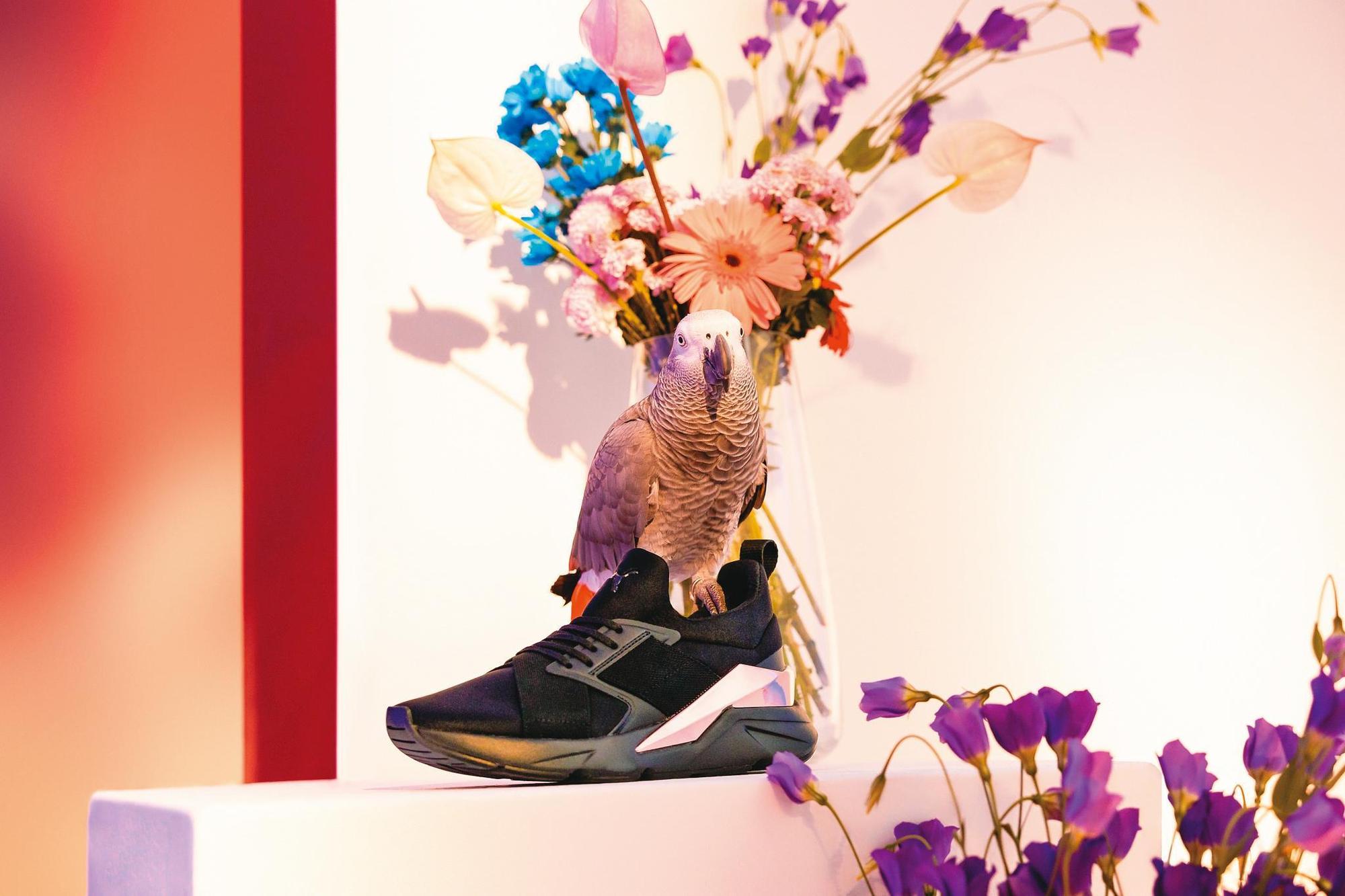 MUSE X5 Metal純黑色鞋款 NT$3,280（PUMA提供）