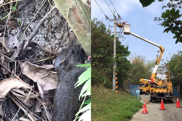 針對高雄上午無預警停電,台電迅速搶修後復電,並找出原因。(台電提供)