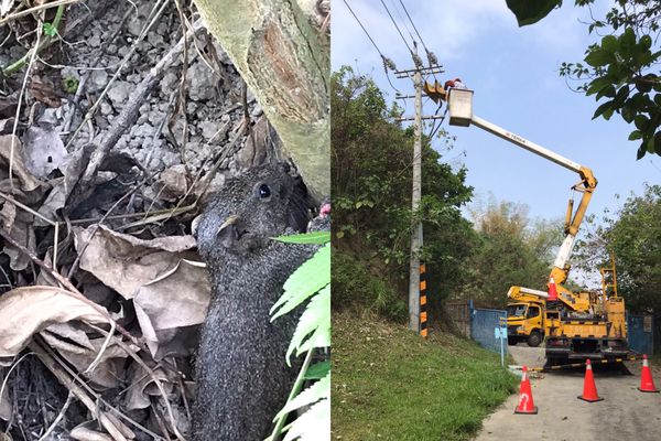 針對高雄上午無預警停電,台電迅速搶修後復電,並找出原因。(台電提供)