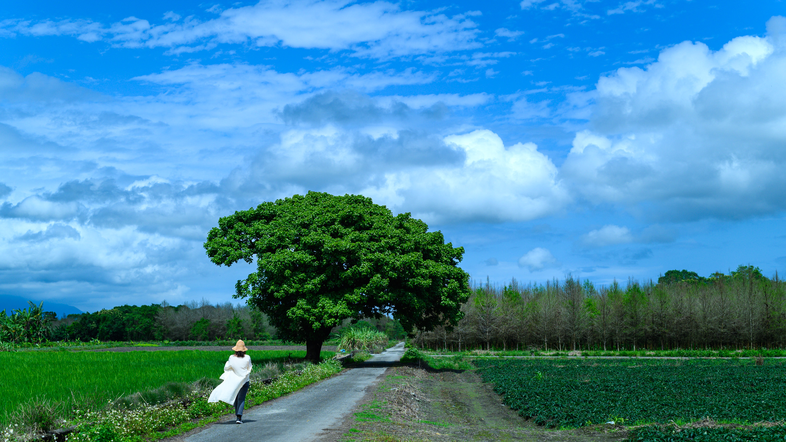 朋友說這是她專屬的風景，絕對不說到底在哪裡。