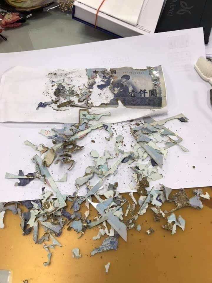 有網友將嚴重破損的千元鈔票「拼圖」，成功拯救了好幾張「小朋友」。（翻攝自爆廢公社）