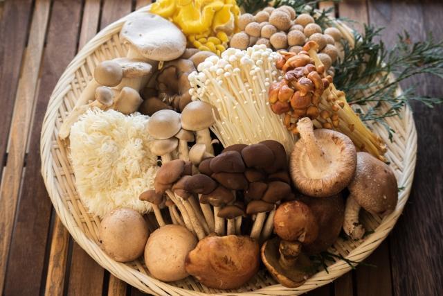 英國科學家發現香菇、蘑菇等真菌生物，會以電脈衝「溝通」。（示意圖，photo AC）