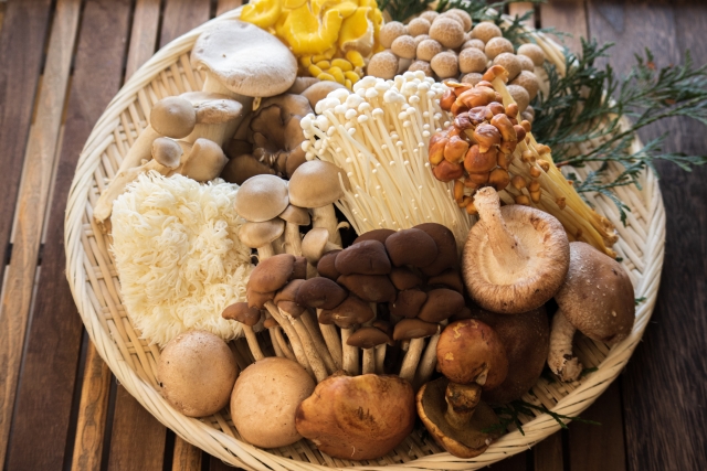 英國科學家發現香菇、蘑菇等真菌生物，會以電脈衝「溝通」。（示意圖，photo AC）