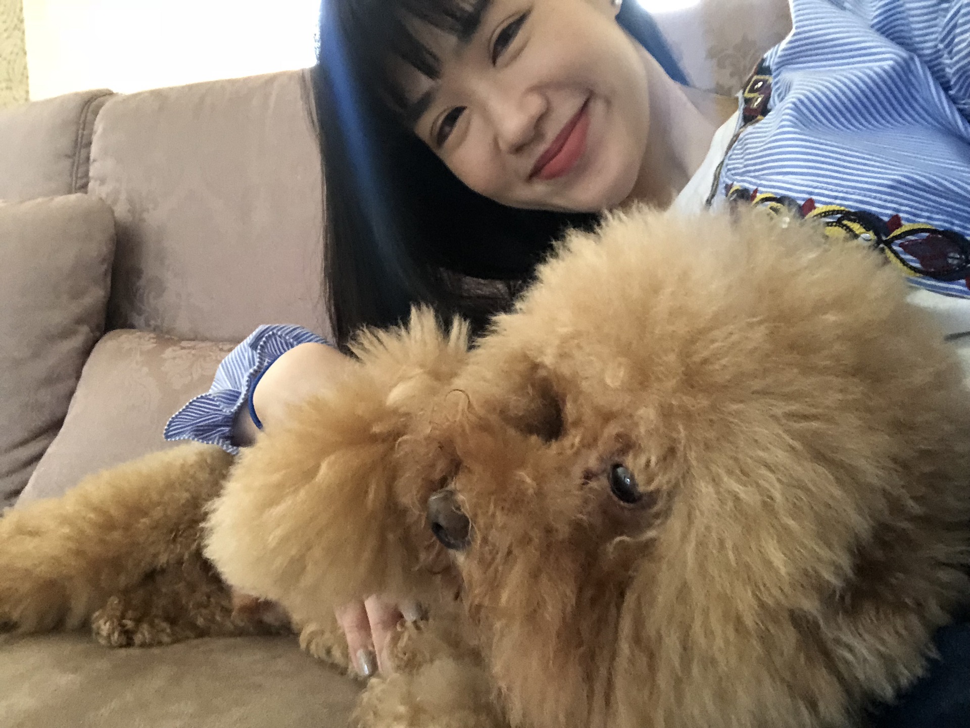 譚若誼養了一隻貴賓狗多多，今年已15歲。（中天提供）