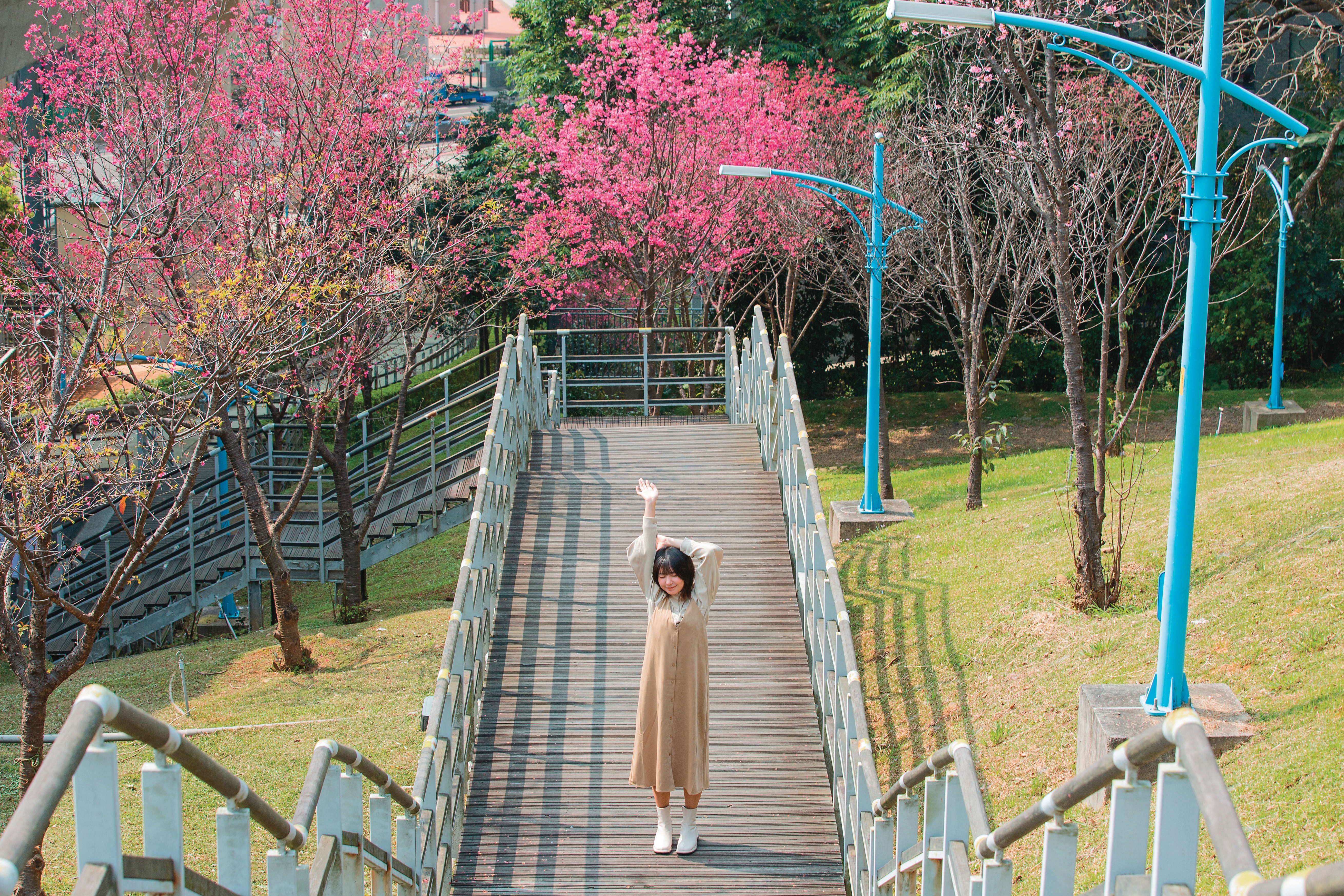 營盤生態環保公園綠意盎然,春天更能在此欣賞櫻花盛開景致。