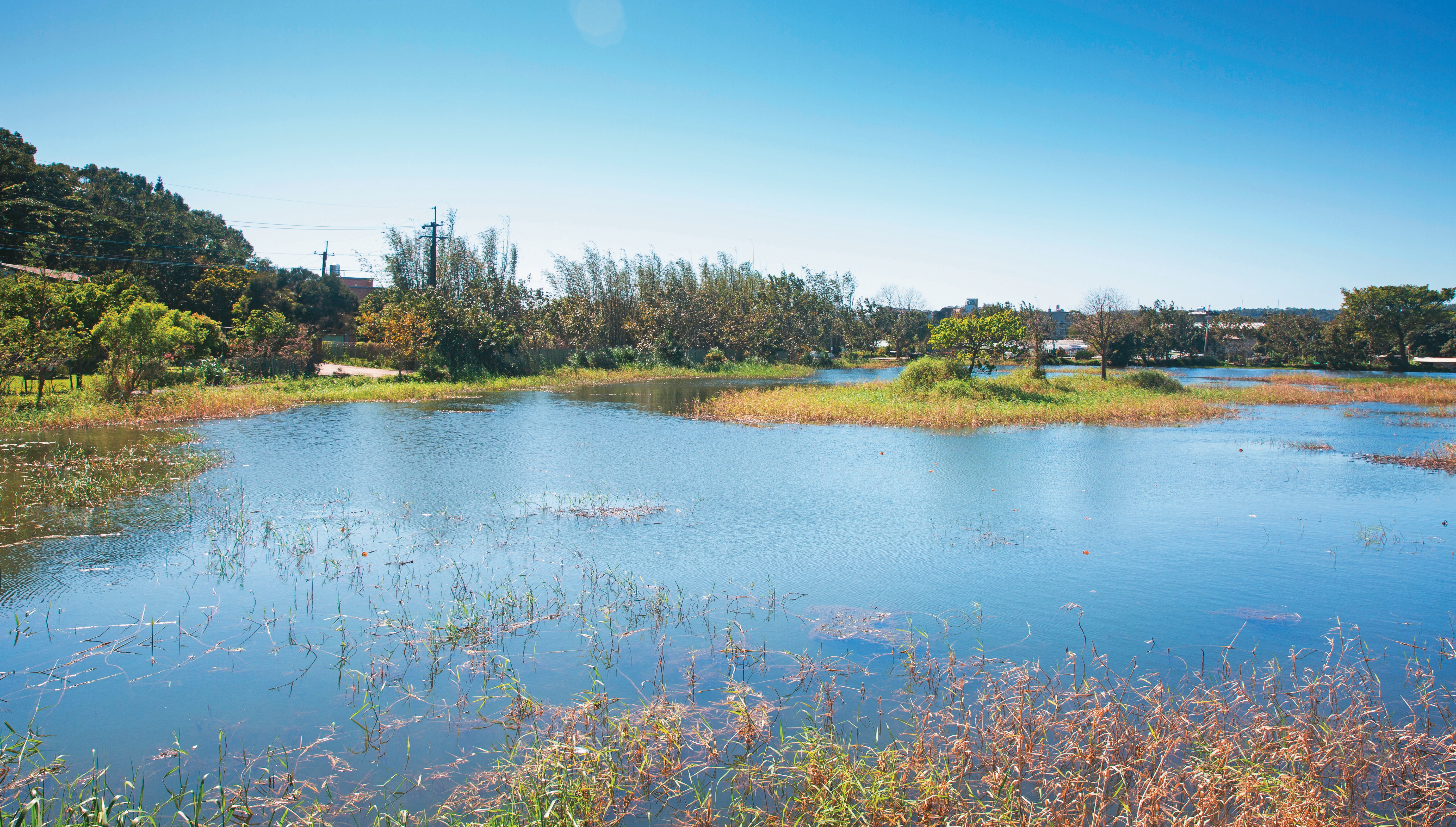 康莊聚落裡的日、月埤塘，是農遊體驗活動中，觀察生態的第一站。