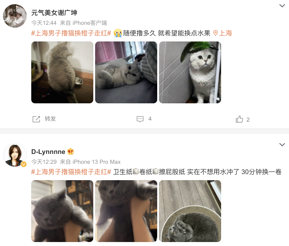 中國網友將自家貓咪推出去「賣身」換物資。(翻攝自微博)