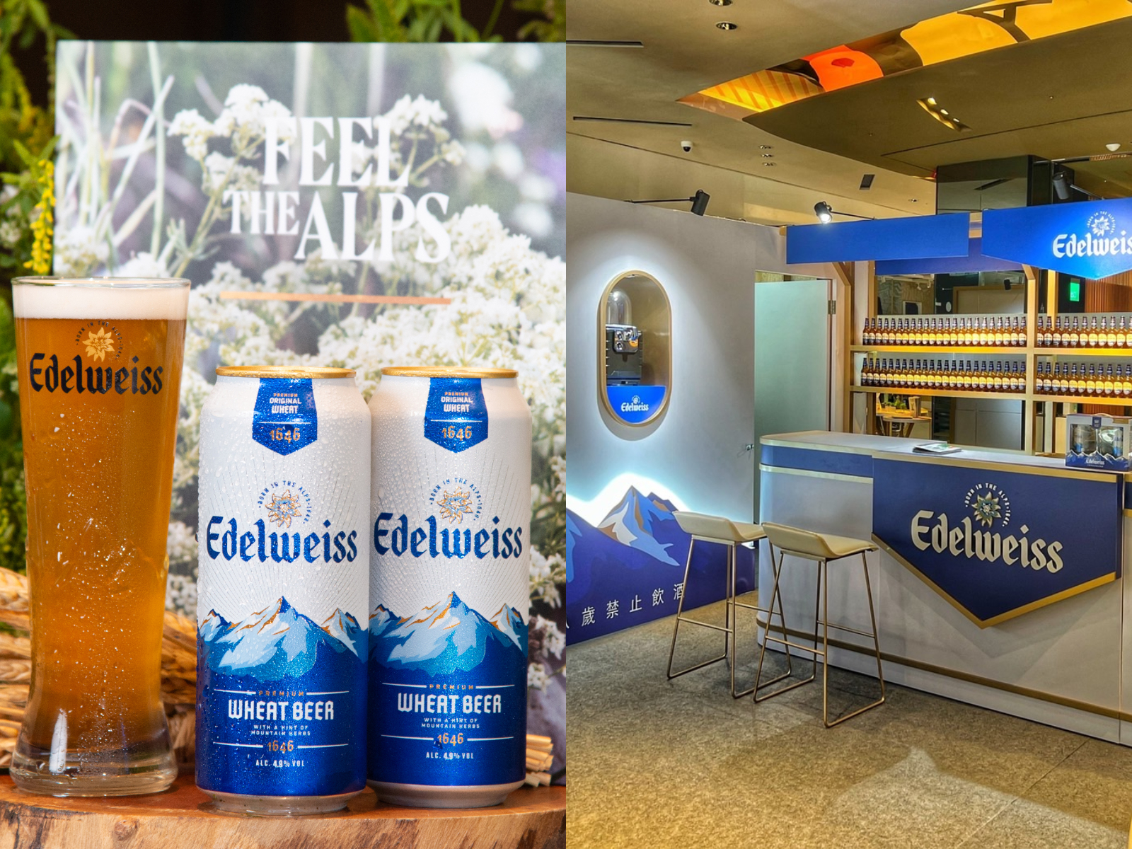 海尼根引進「Edelweiss艾德懷斯小白花頂級白啤酒」正式登台，啟動夏季啤酒旺季的布局。（海尼根提供）