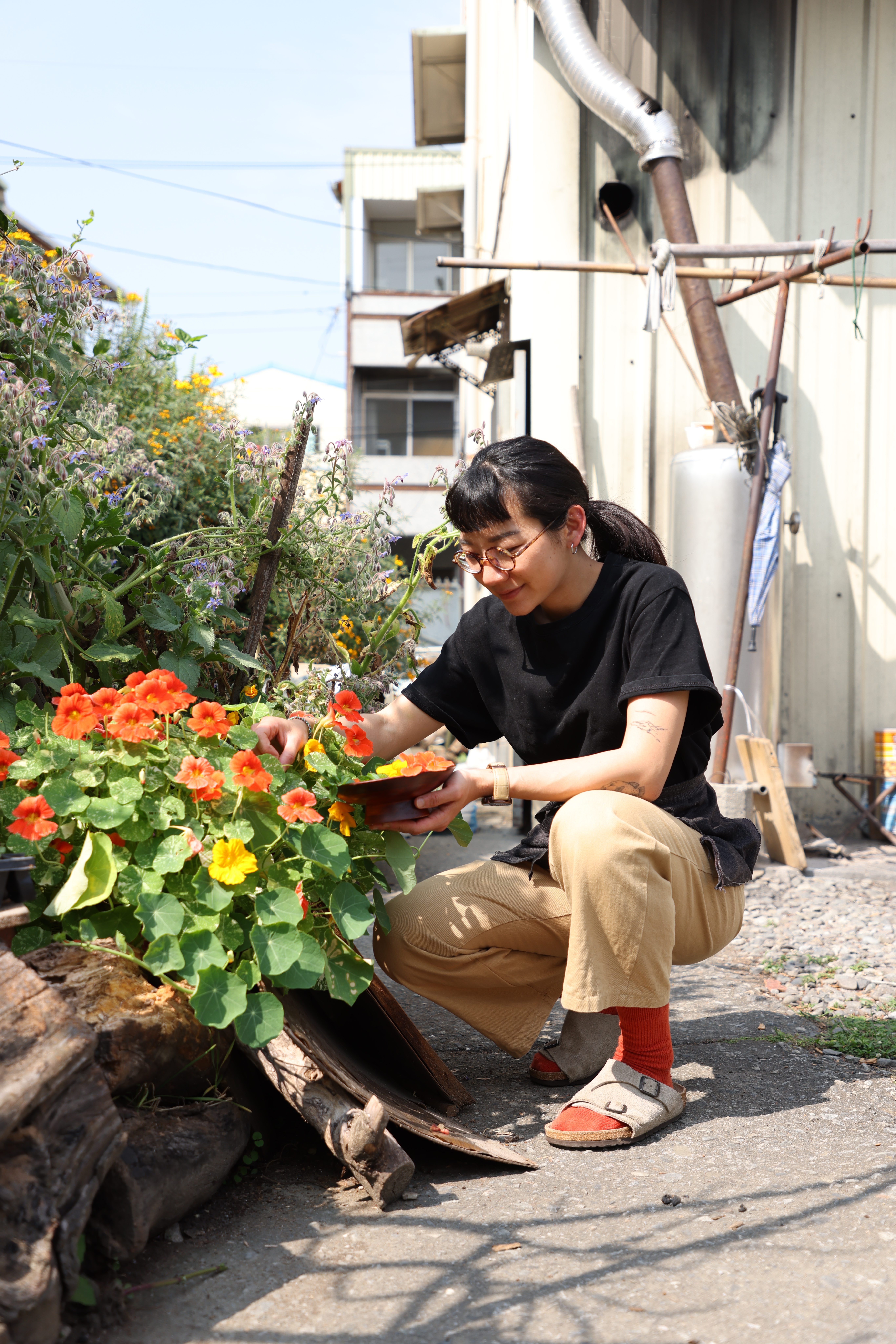 張禹婕自家後院栽培的食用花、香草植物，為烘焙產品添香增色。