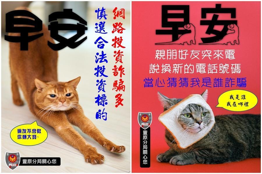 豐原警分局推出貓奴系列「防詐早安圖」。（翻攝自豐原警好讚臉書）