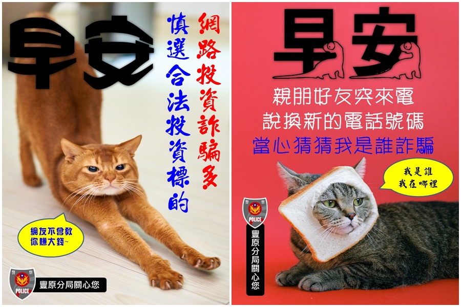 豐原警分局推出貓奴系列「防詐早安圖」。（翻攝自豐原警好讚臉書）