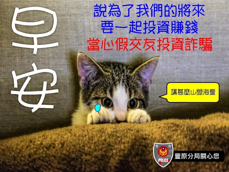豐原警分局推出直式15張、橫式15張，總共30張貓奴系列「防詐早安圖」。（翻攝自豐原警好讚臉書）