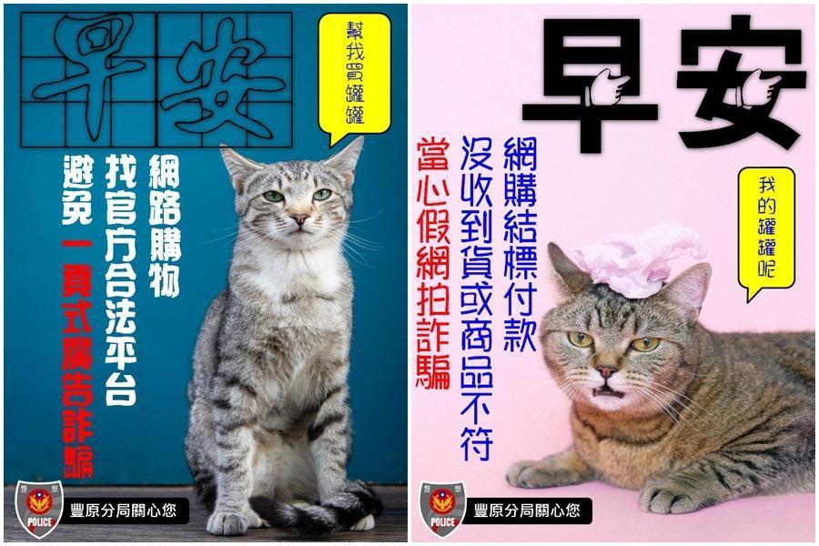豐原警分局推出直式15張、橫式15張，總共30張貓奴系列「防詐早安圖」。（翻攝自豐原警好讚臉書）