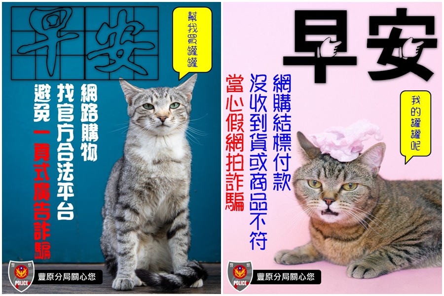 豐原警分局推出直式15張、橫式15張，總共30張貓奴系列「防詐早安圖」。（翻攝自豐原警好讚臉書）
