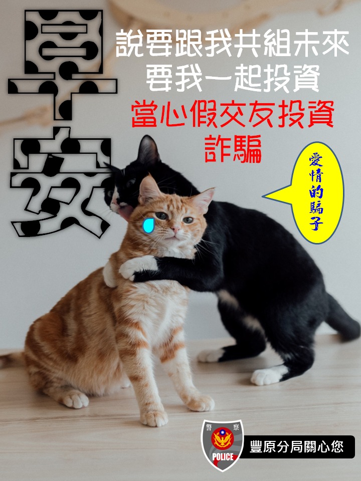 豐原警分局推出直式15張、橫式15張，總共30張貓奴系列「防詐早安圖」。（翻攝自豐原警好讚臉書）