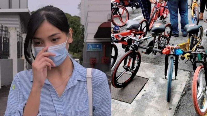 馬來西亞一名女子沈可婷駕車撞上飆腳踏車的少年，導致8死8傷的慘劇。（翻攝自change.org）