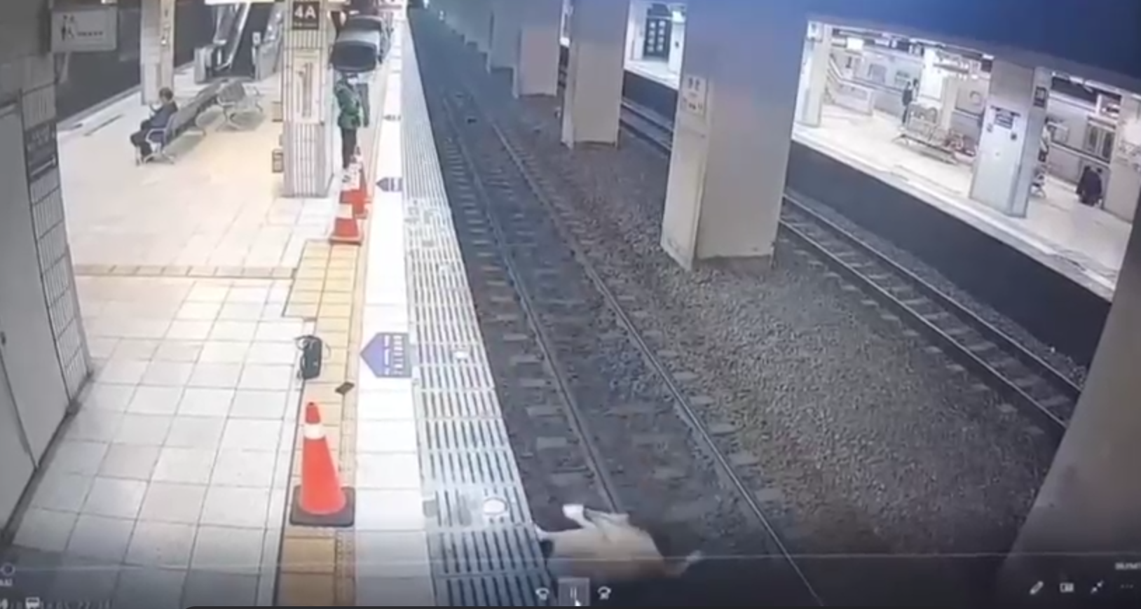 女子跌落在鐵軌上，導致列車緊急煞車。（翻攝記者爆料網2.0臉書）