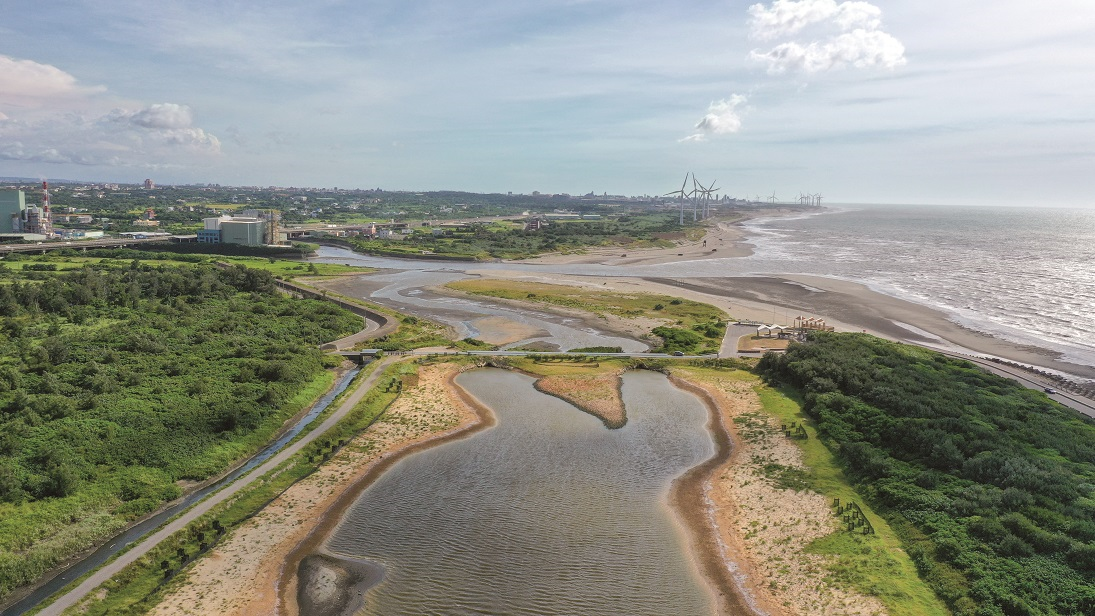 桃園溼地造林有成，成為許多野鳥的重要棲地。(桃園市政府  提供)
