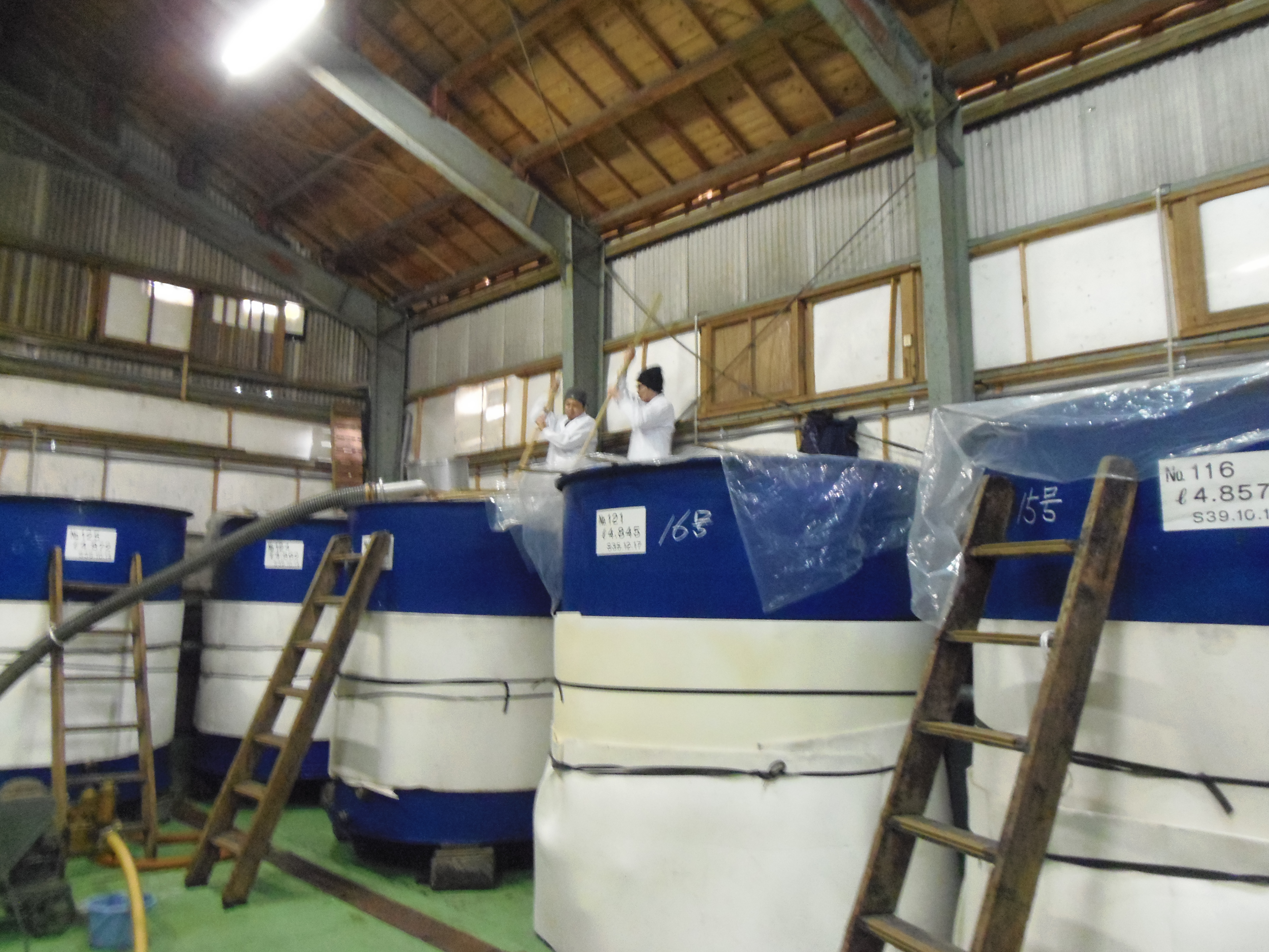 在出產「能古見 純米吟釀」的「馬場酒造場」中，將蒸米、米麴、酒母放進桶內攪拌與發酵。（乾杯提供）