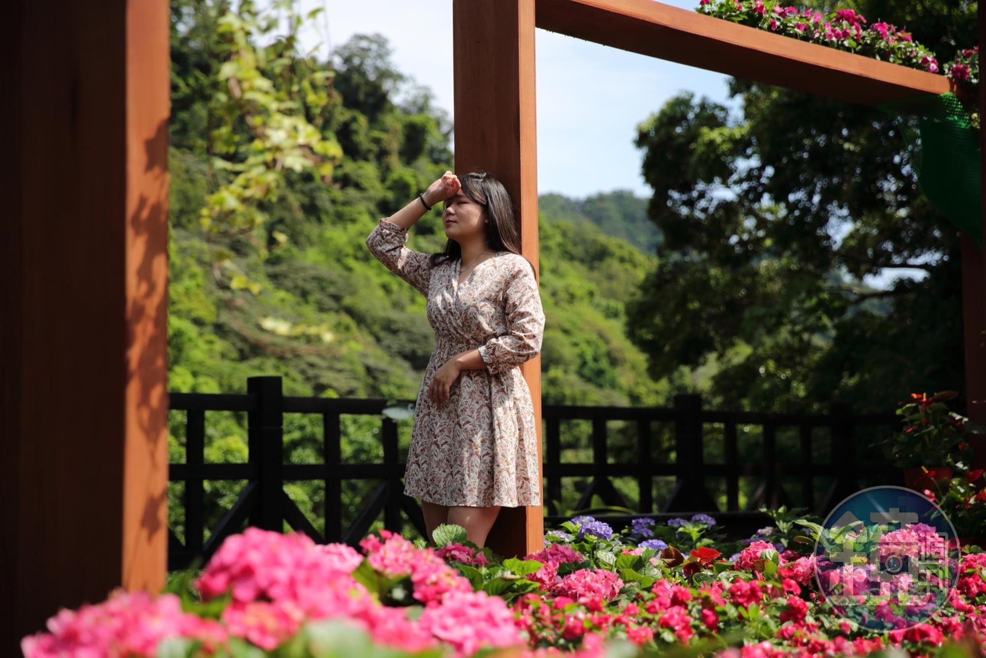 「2022南庄花卉節」於4月23日至5月22日登場，今年參山國家風景管理處打造4大型花卉藝術打卡點，讓遊客可盡情捕捉浪漫合影。