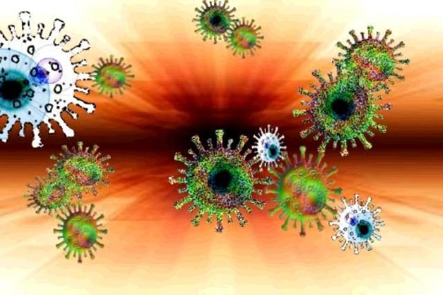 根據最新的《分子生態學》雜誌中研究報告指出,研究人員發現一種桿狀病毒,會操控宿主爬往高處並且死亡。(示意圖,photo Ac)