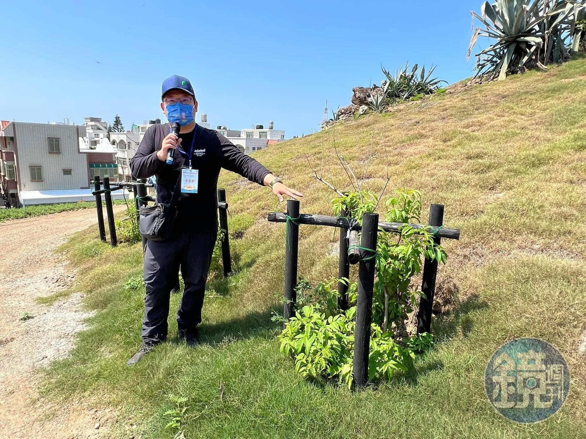 澎湖縣林務公園管理所所長李振綱形容，植樹要能種下多元樹種，才有利生態發展。