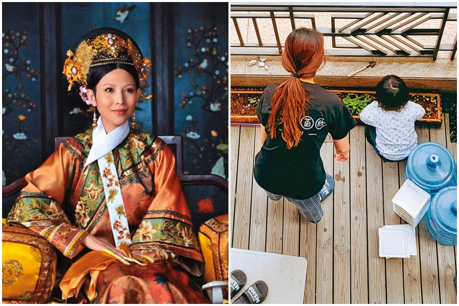 蔡少芬在《後宮甄嬛傳》飾演宜修皇后, 還記得那張「臣妾做不到啊」哏圖嗎?蔡少芬因疫情困在上海家中,也開始種菜了!妳做得到的!(拍肩)(緯來電視提供、翻攝自張晉微博)