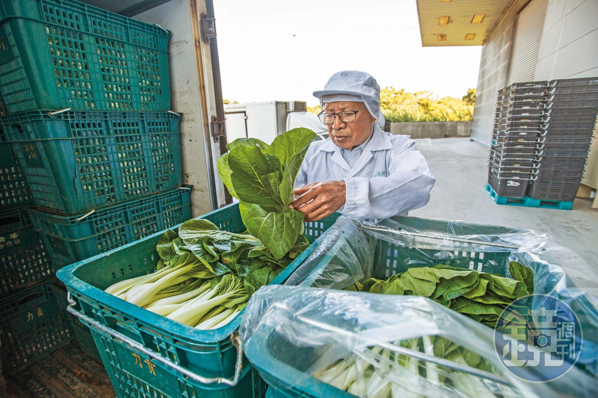 大漢酵素使用超過150種蔬果做為酵素原料，圖為契作有機蔬菜。