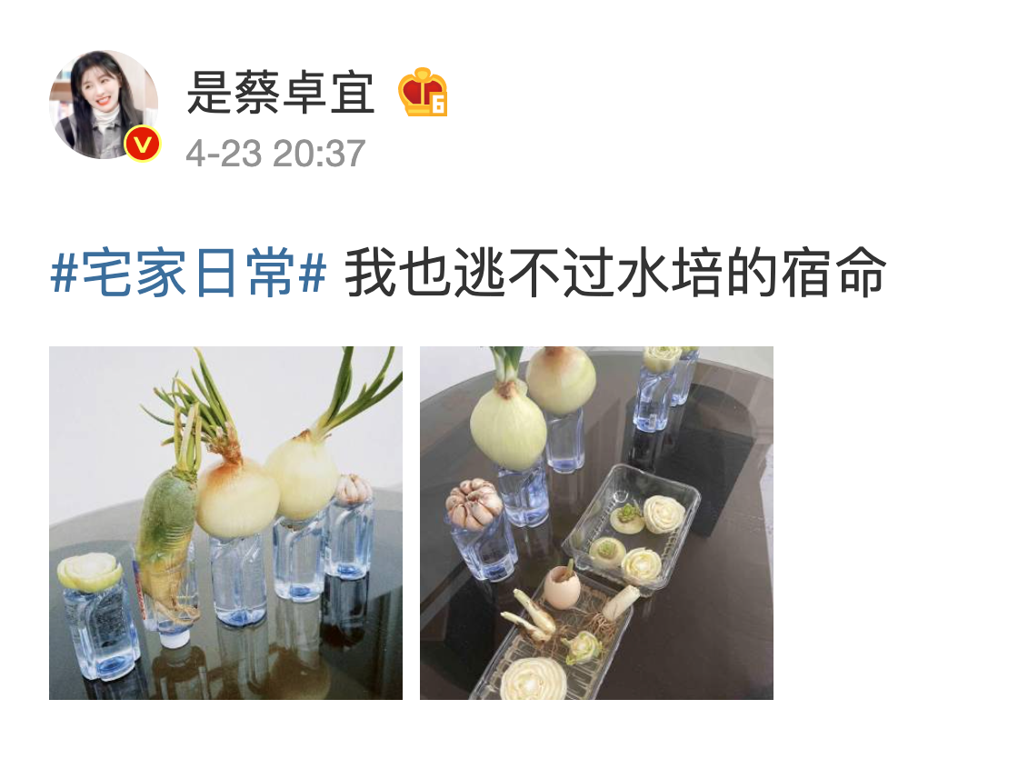 王大陸的緋聞女友蔡卓宜，在家自種水耕蔬菜。（翻攝自蔡卓宜微博）