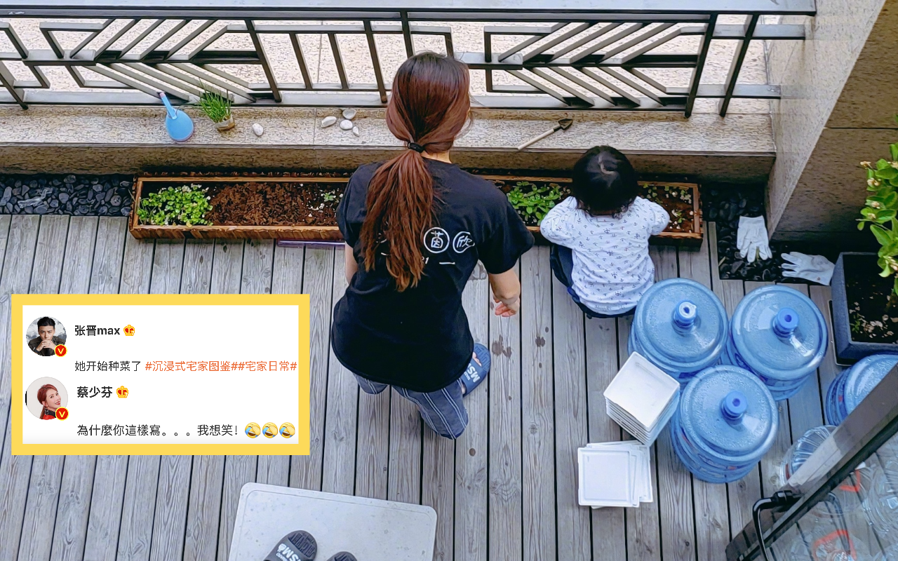 蔡少芬讓種菜成親子活動，背後故事很暖心。（翻攝自張晉、蔡少芬微博）