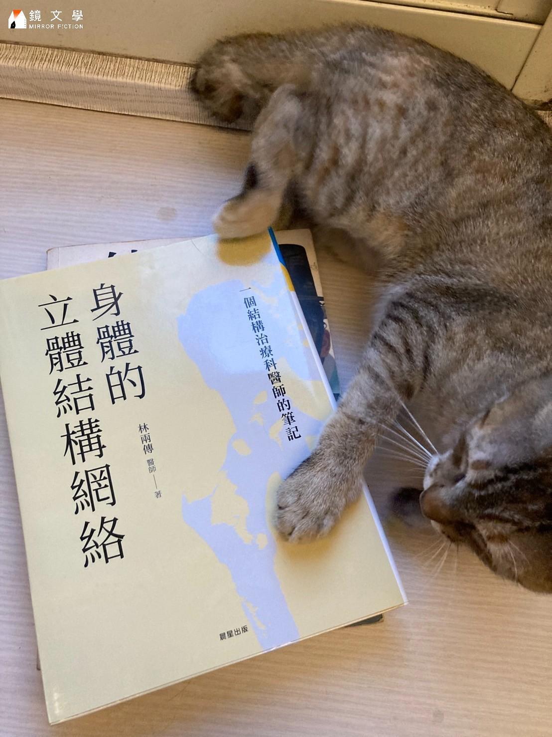 為研究中醫，孫明立從古籍到當代研究都有涉獵。（孫明立提供）