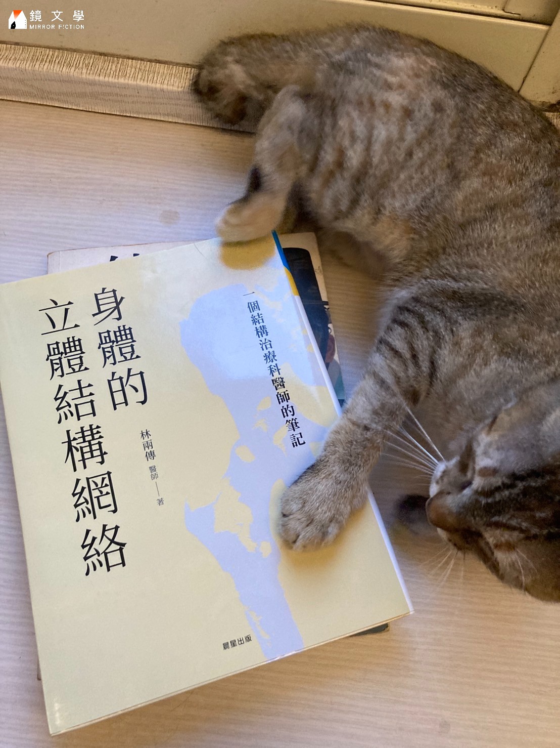 為研究中醫，孫明立從古籍到當代研究都有涉獵。（孫明立提供）