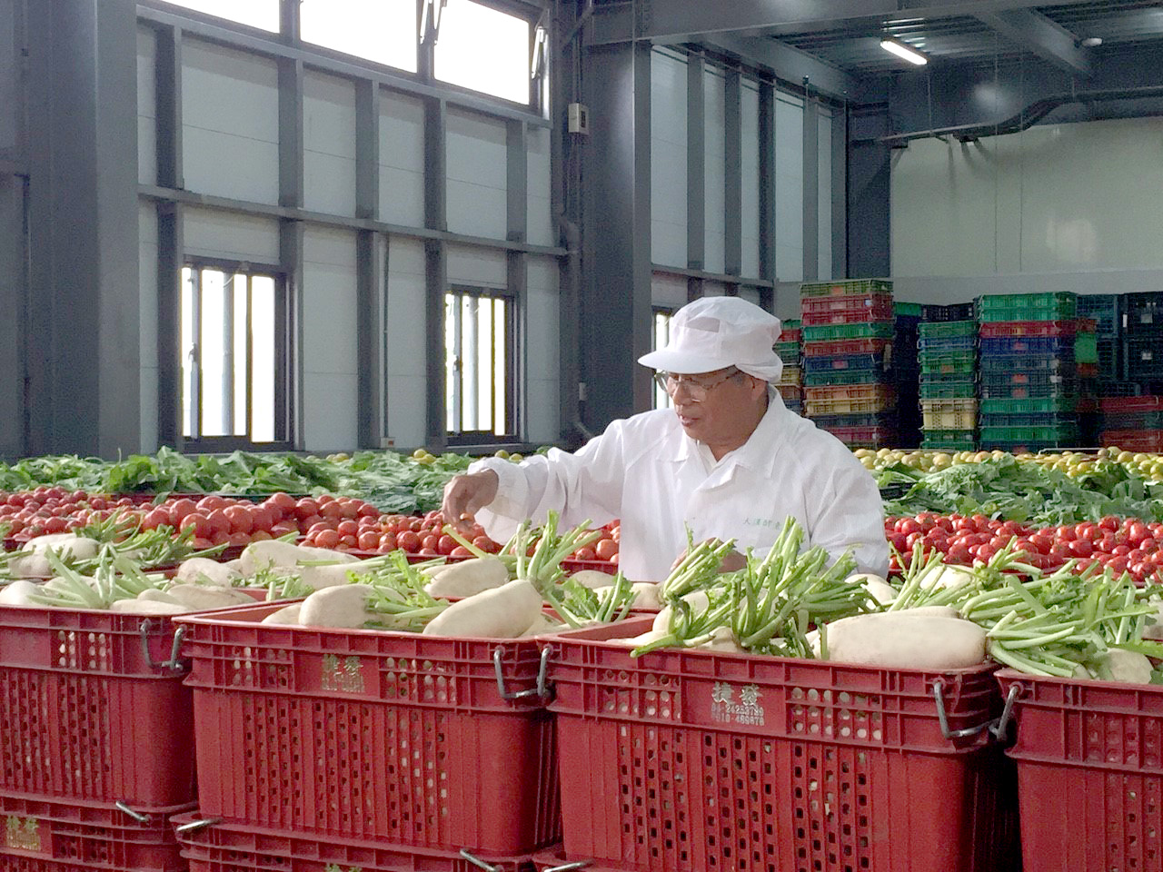 大漢酵素使用超過150種蔬果做為酵素原料，採獨立桶發酵，可將當令最營養的蔬菜入槽發酵。（大漢酵素生技提供）