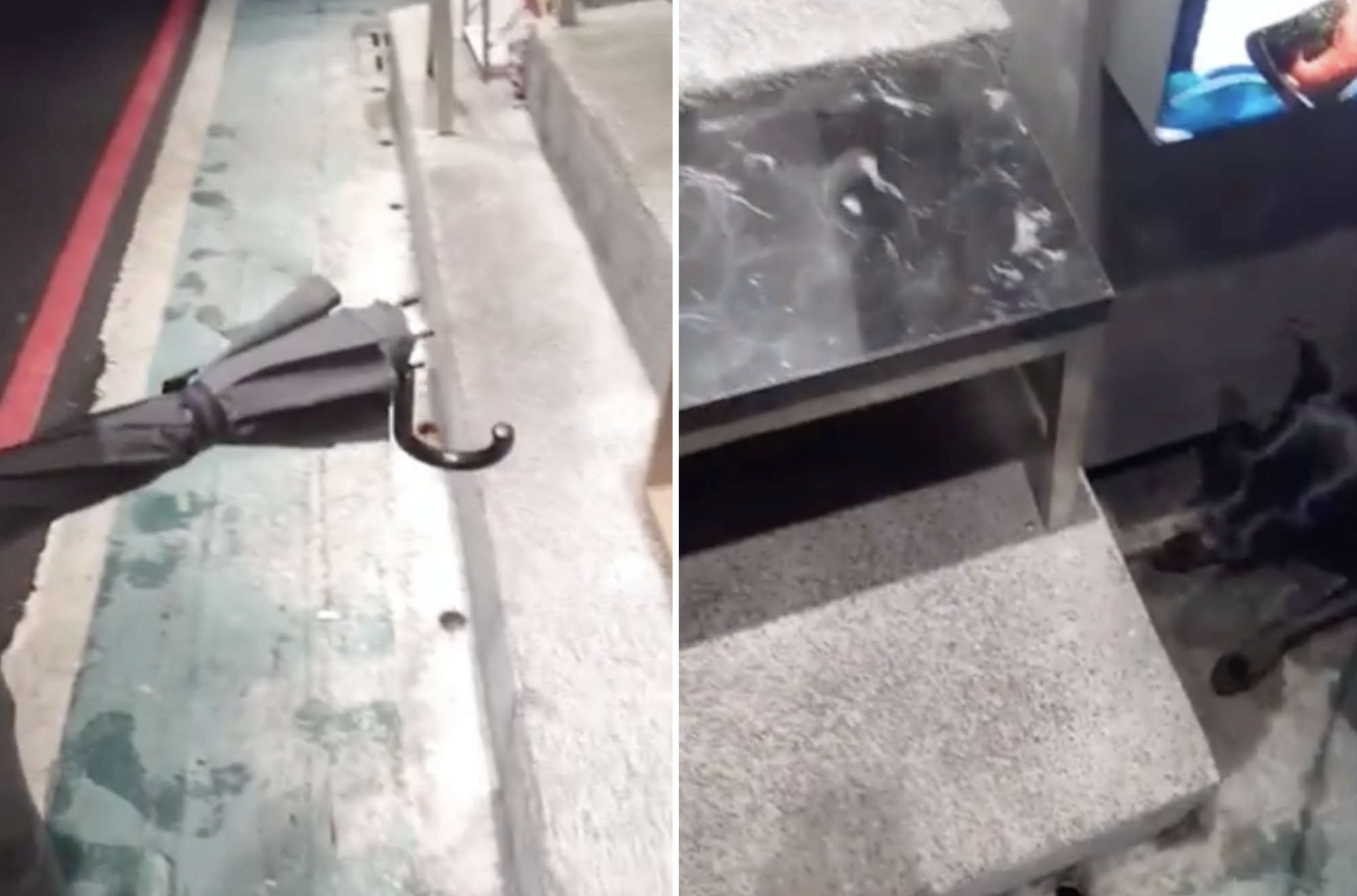 楊男指紀男會騷擾狗，遇到他一定要錄影蒐證。（翻攝臉書黑狗軍團）