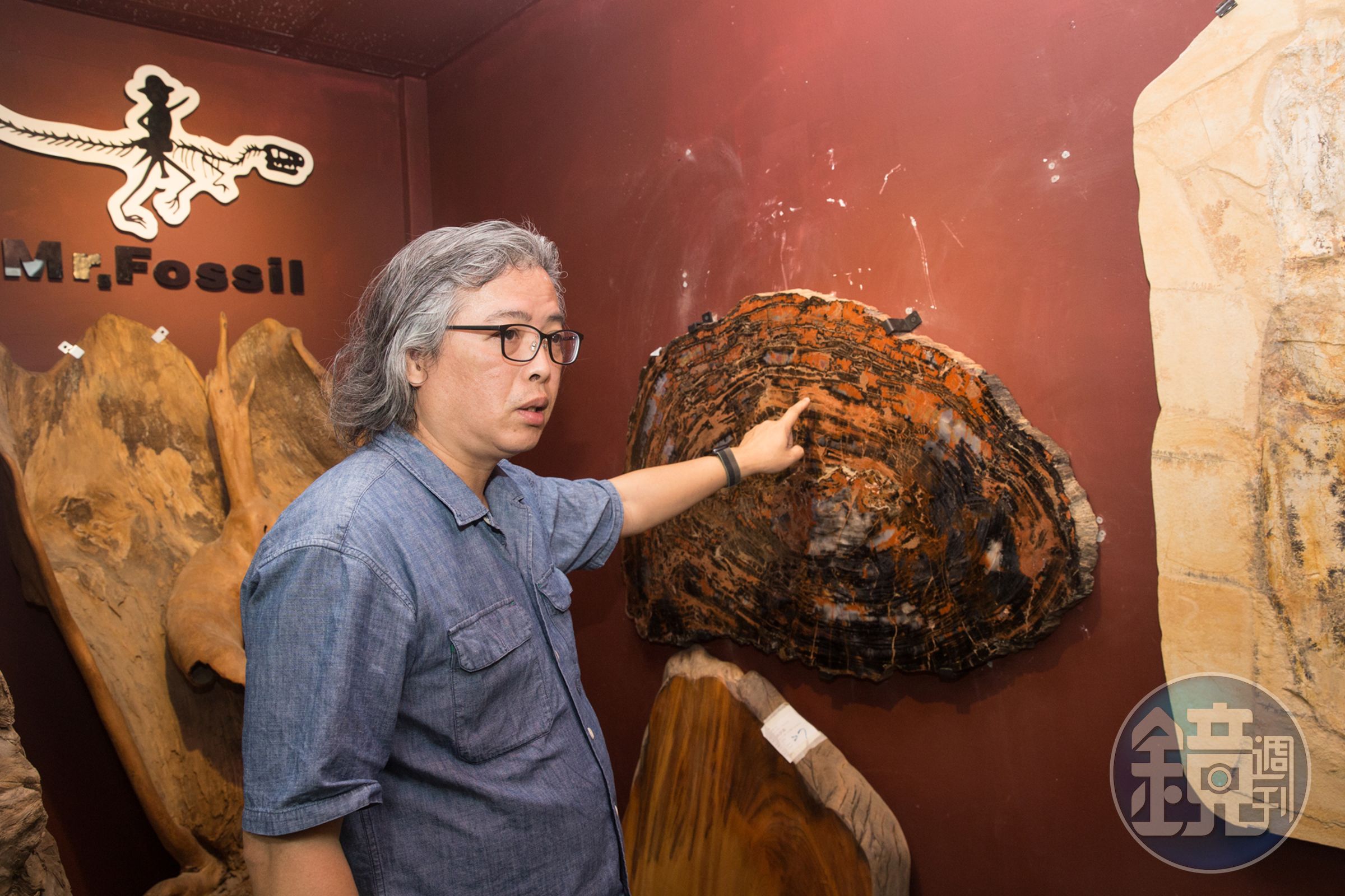 除了動物化石，蕭語富也常到東南亞尋找木化石。