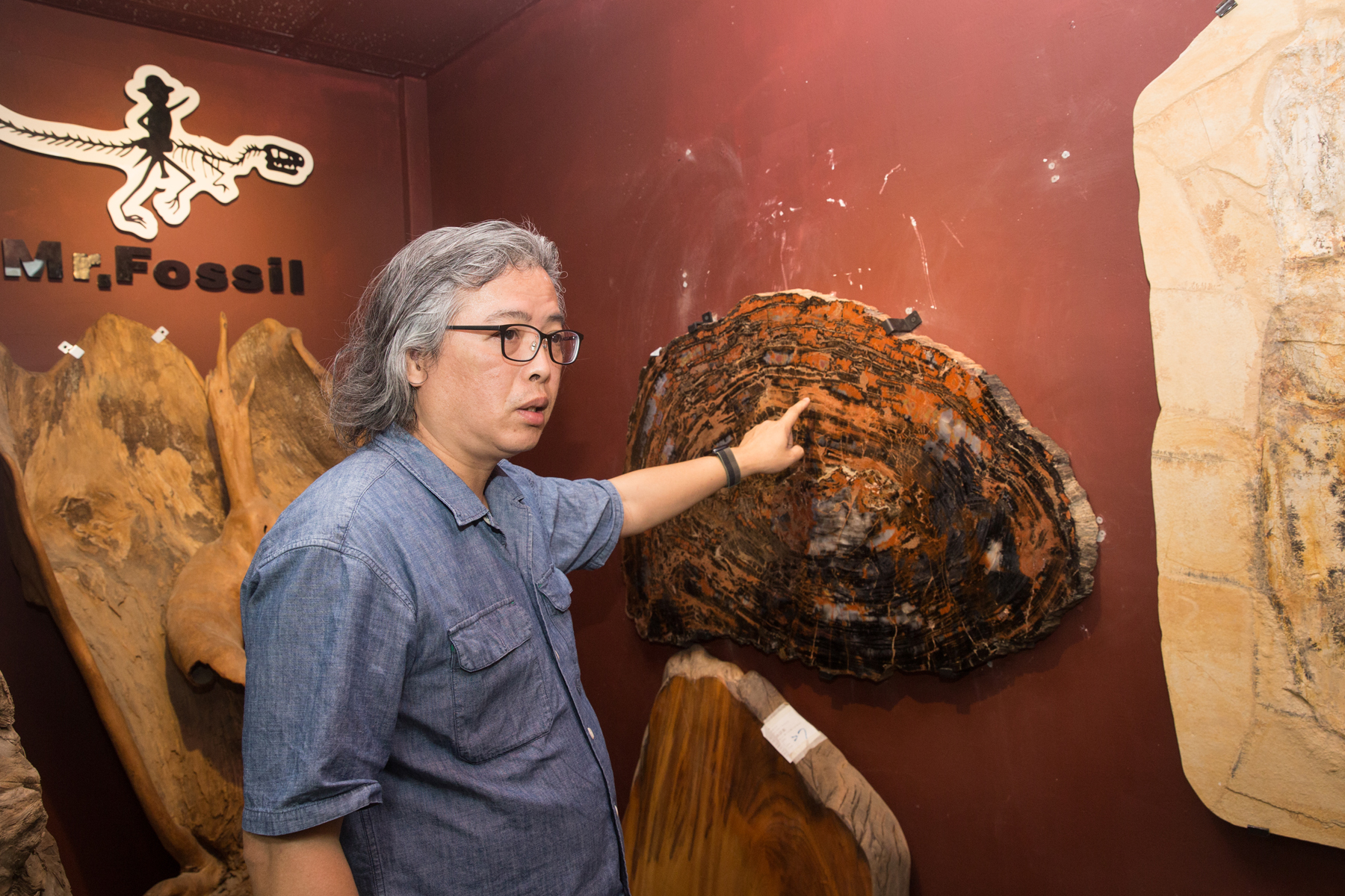 除了動物化石，蕭語富也常到東南亞尋找木化石。