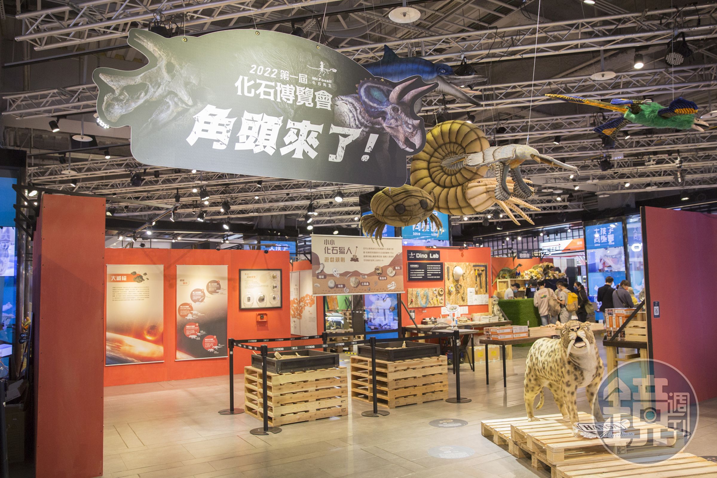 4月初，台北三創生活園區找來化石先生，在一樓舉辦了第一屆化石博物館展覽。