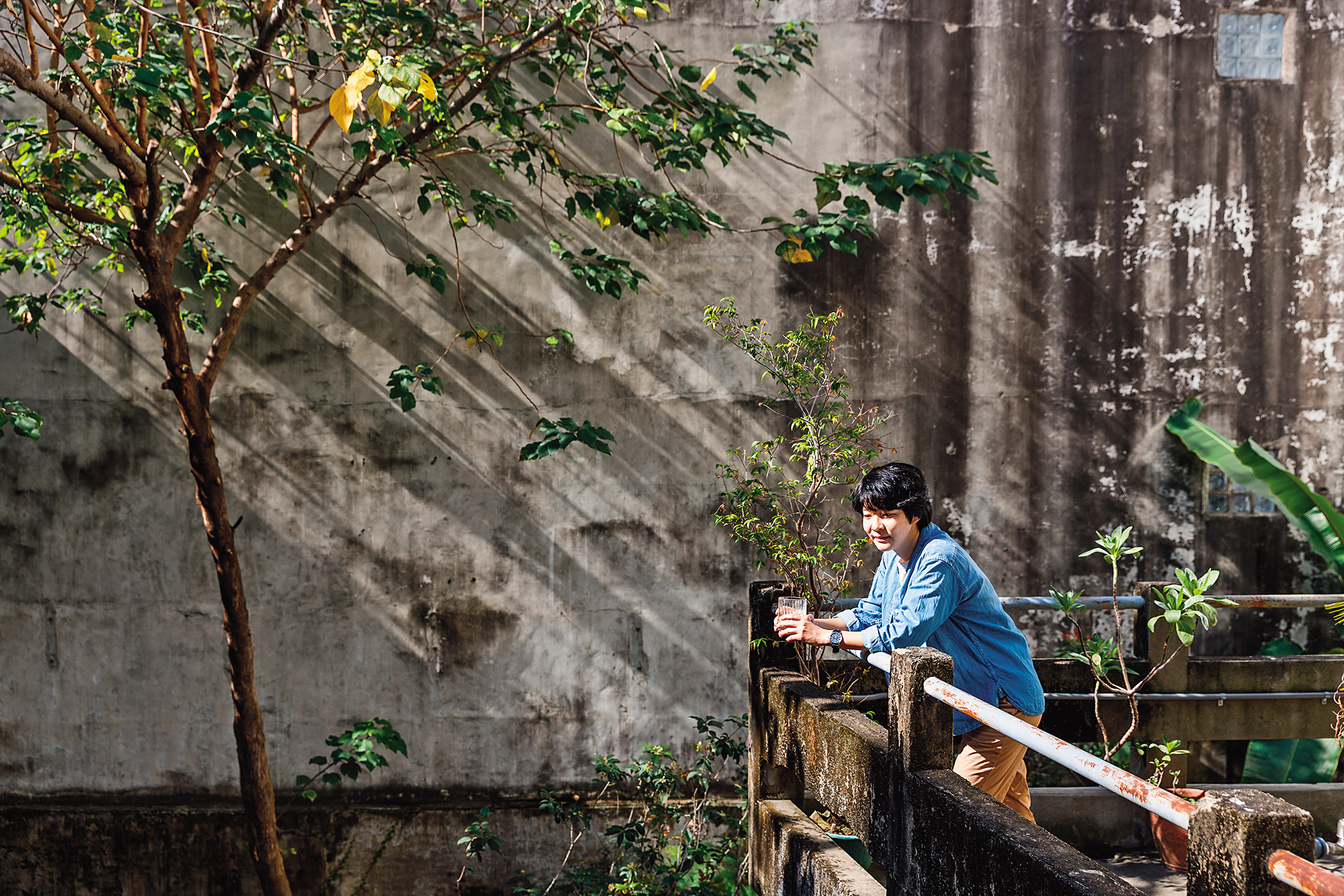 上午前往桃城豆花用餐，能夠欣賞到晨間光影灑落在庭院內的迷人畫面。