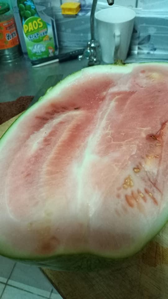 好市多買的西瓜剖開後呈現不均勻的肉色,中間果肉像有一道白色裂痕。(Costco好市多 商品經驗老實說)