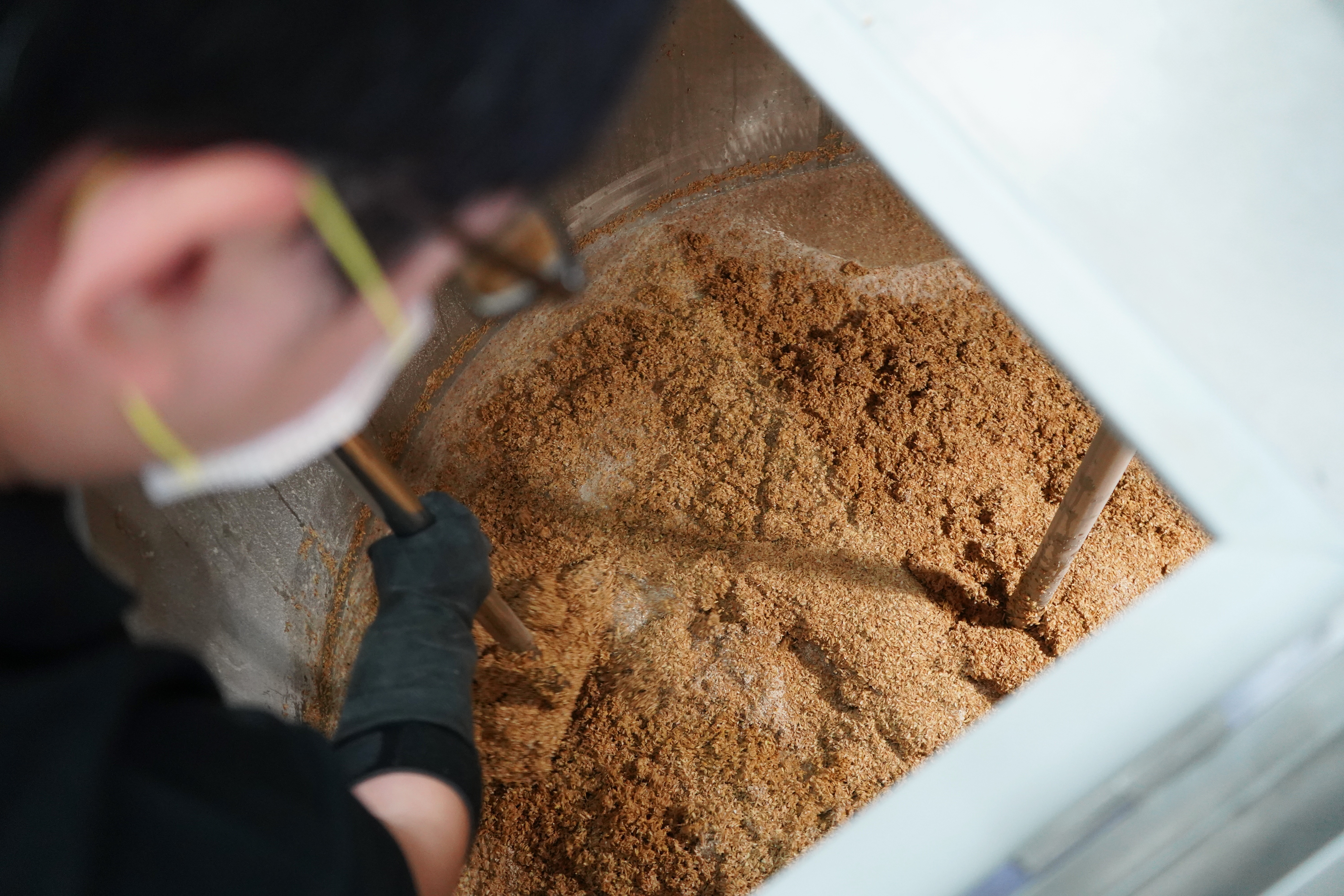 釀製過程的「糖化」階段，將碾碎的麥芽混合熱水，來提取麥芽裡的糖分。（酉鬼啤酒提供）