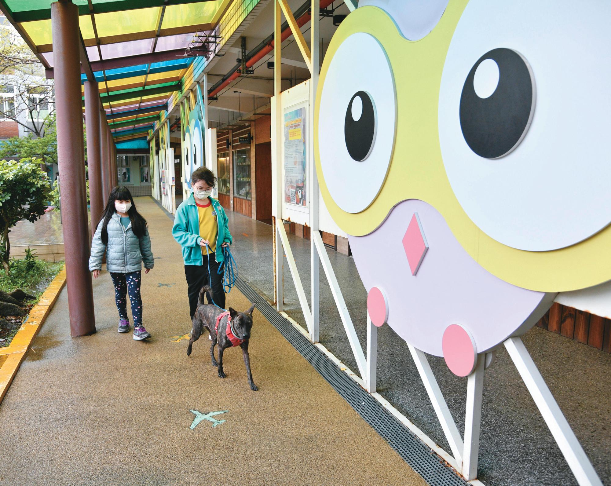 市府試辦學校認養、收容流浪犬貓,登記在校園名下並投以醫療、照顧,每隻最高可獲得2萬元補助經費。