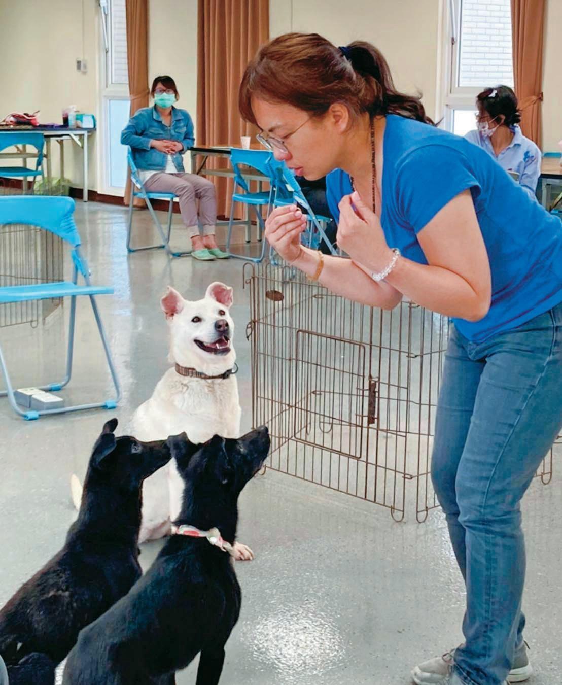 動保園區也發起寵物訓練、照護講座,讓收養者備好正確的飼育觀念。(桃園市政府提供)