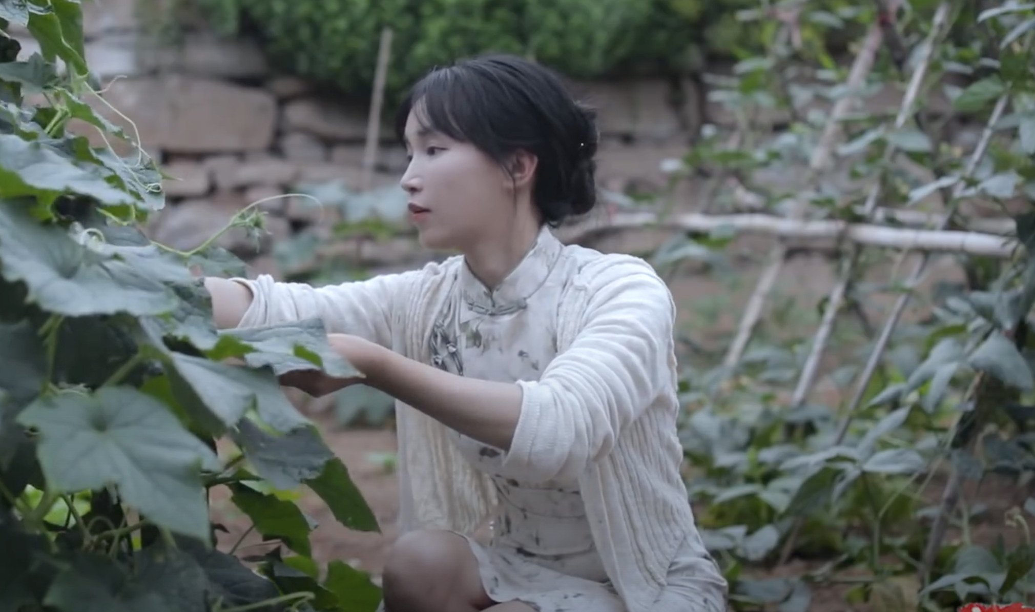 「中國第一網紅」之稱的中國網紅李子柒陷合約糾紛至今未更新。（翻攝李子柒Youtube）