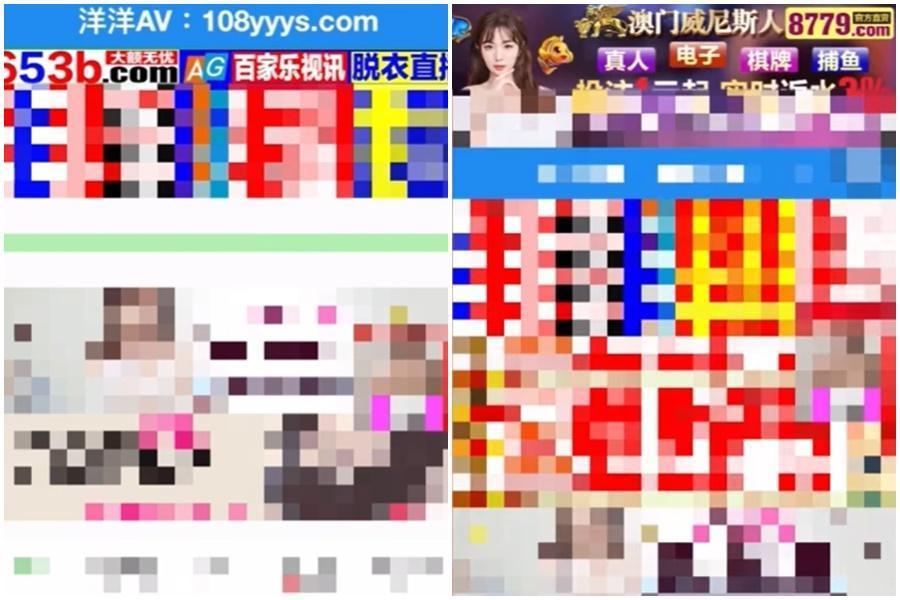 苗栗第3屆青年事務委員的徵選活動網站,遭到網域蟑螂盜用。(翻攝自宋國鼎律師 苗栗縣議員臉書連結)