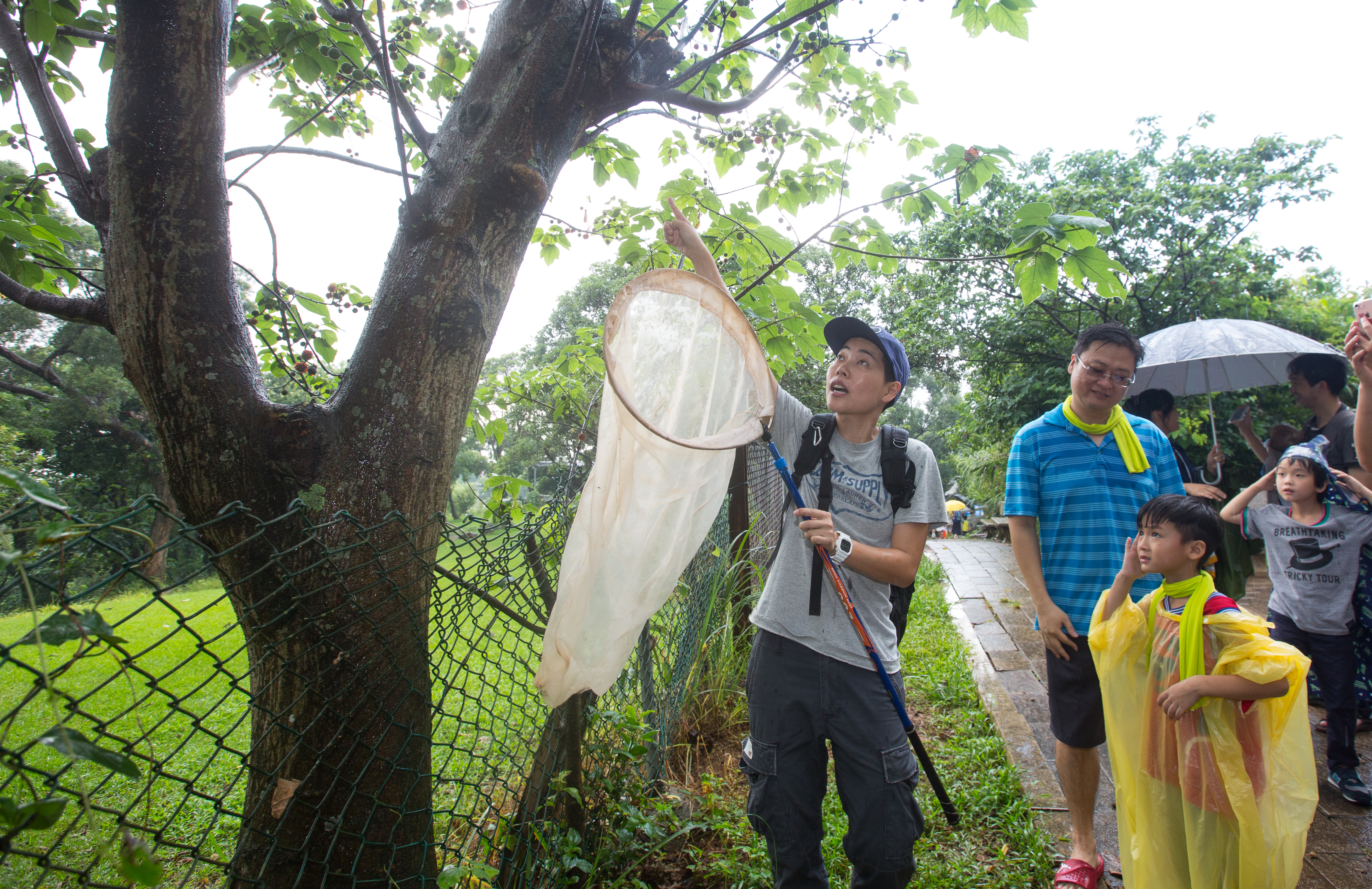 5系被廖老大點名很多是去混的，「昆蟲擾西 吳沁婕」今發文回應。（本刊資料照）