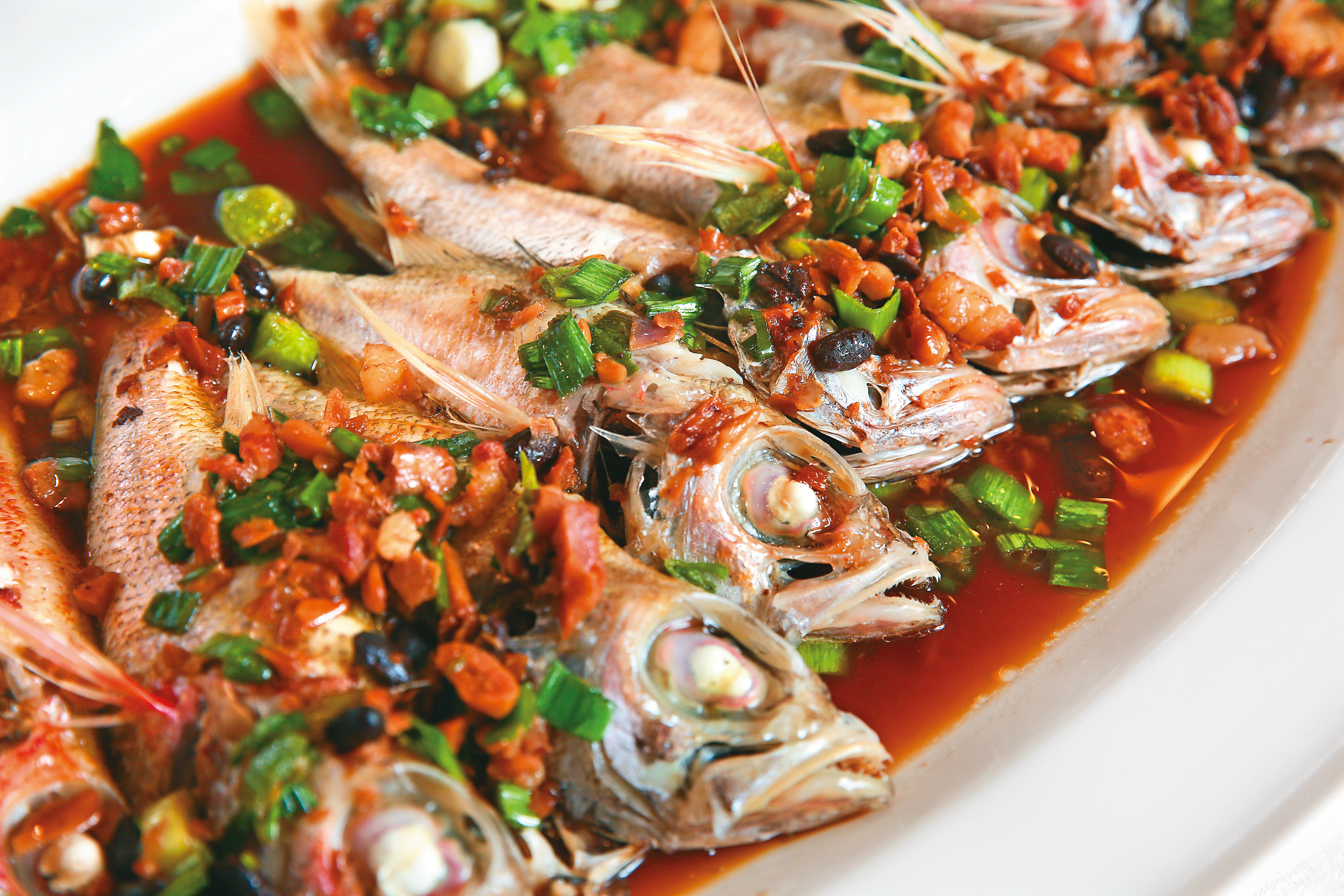 以東北角特產海魚料理的「豆豉蒸紅喉」，鮮甜美味。（10人份、6,000元套餐菜色）