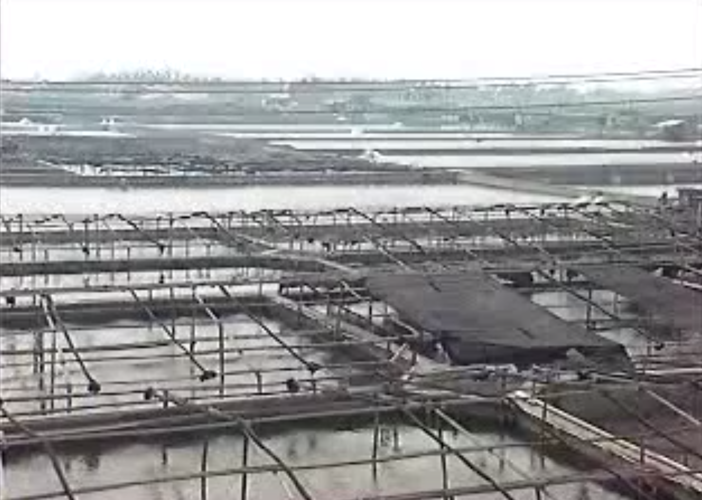 李道明製作、曾文珍與許明淳共同導演的《水－地沉下去了》獲不少獎項肯定。（李道明提供）