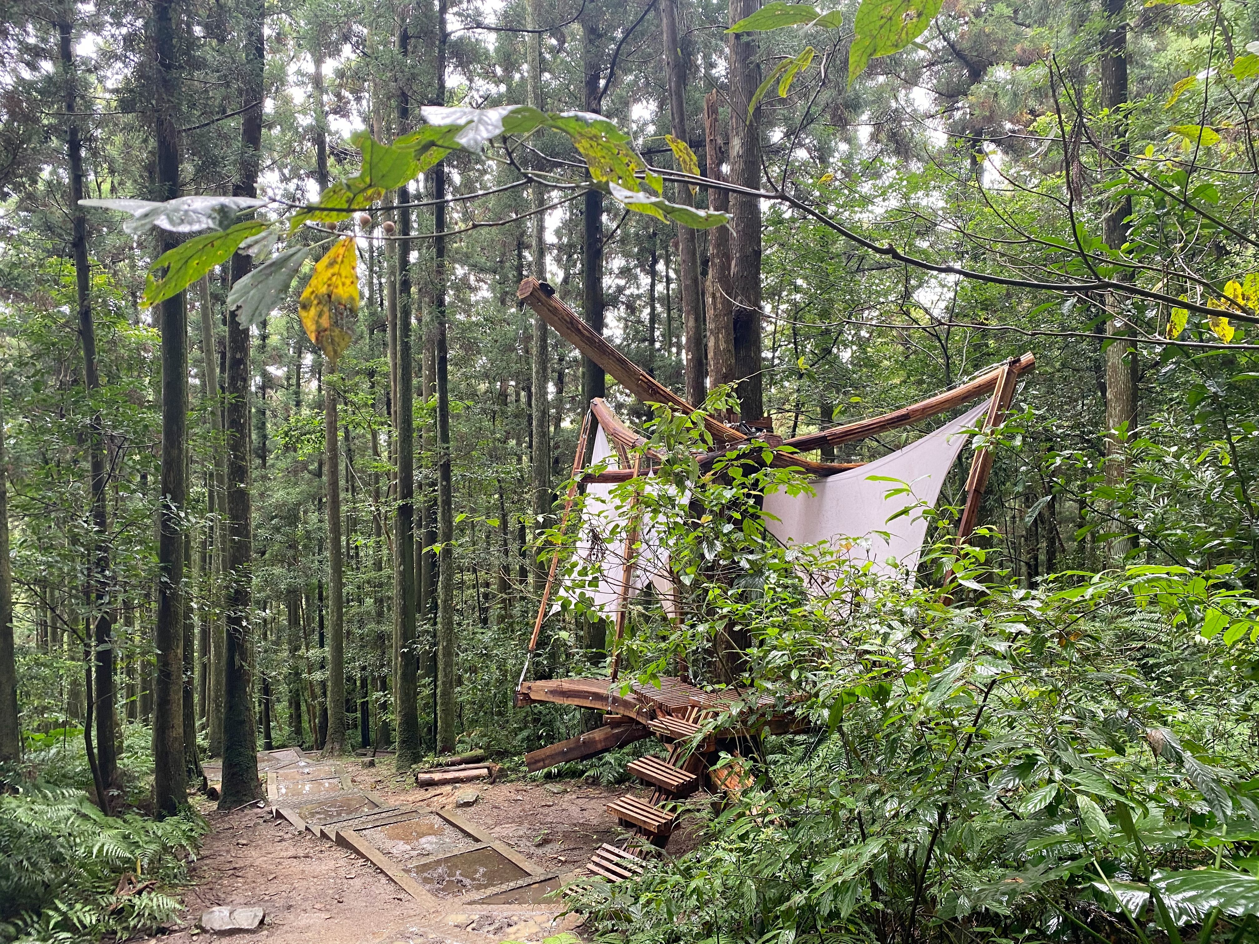 除了「繫森」，東眼山國家森林遊樂區裡還有「浮森」「脊森」「懸森」等作品。