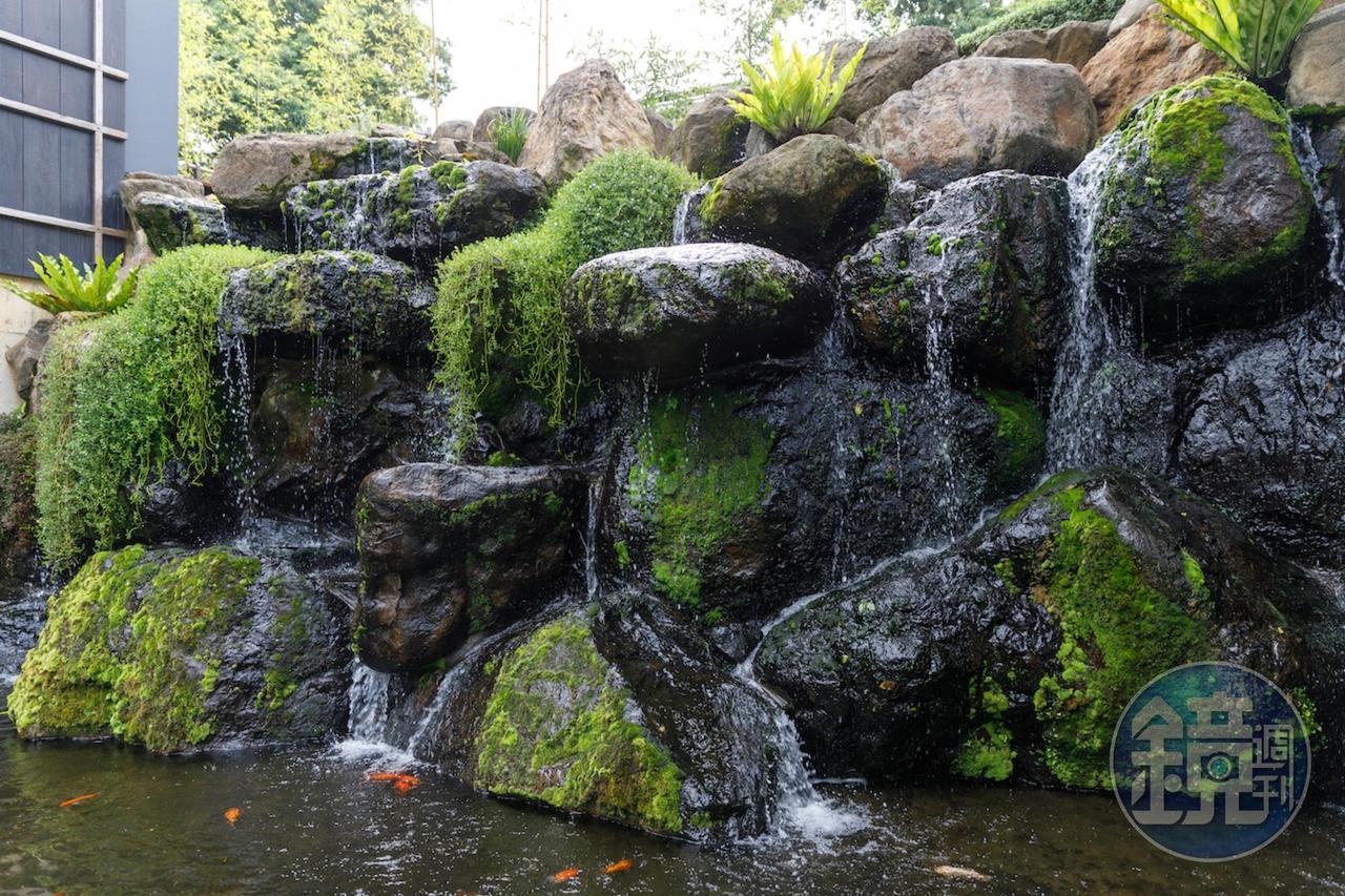 一踏進飛花落院,前庭即是磅礡的瀑布流水,期望以水聲帶走客人一路上山的疲累感。
